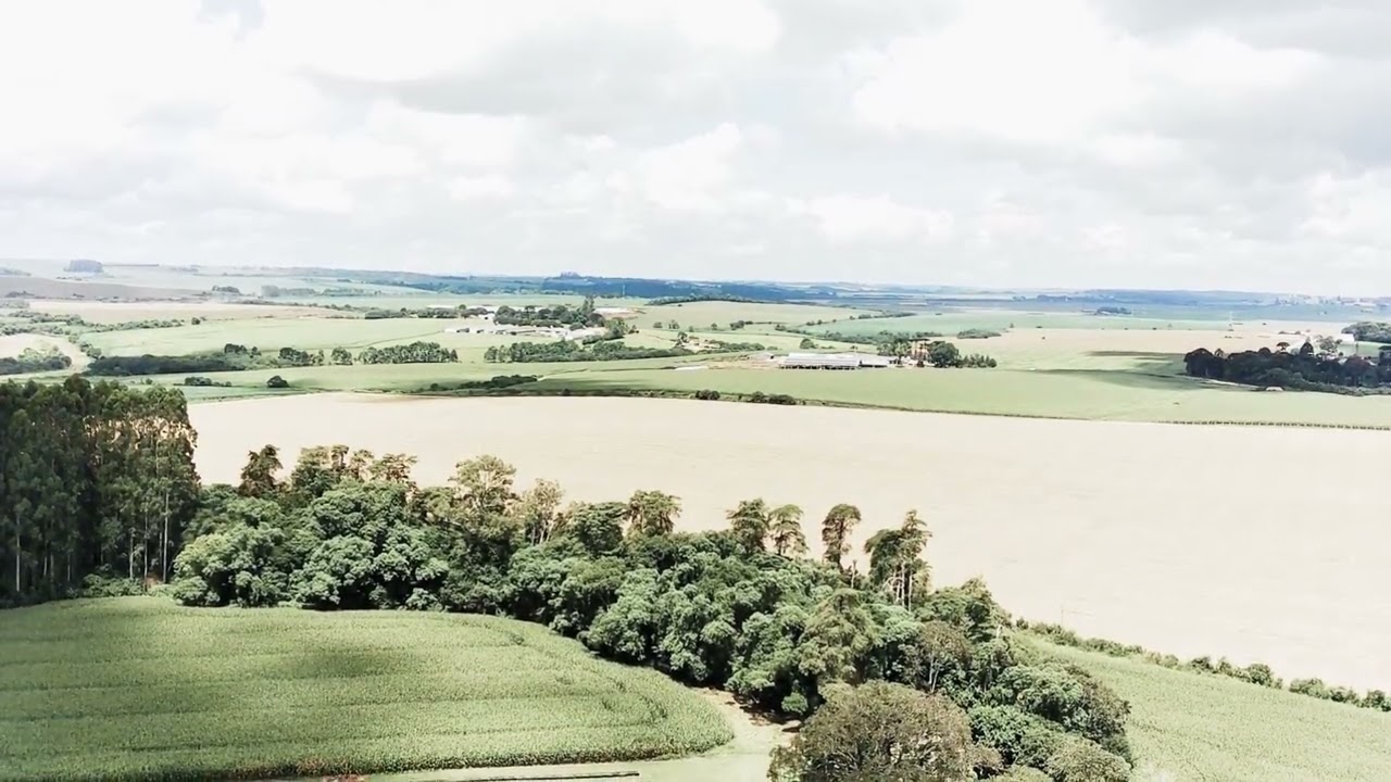 Conheça a histórica fazenda Capão Alto - Vista área.