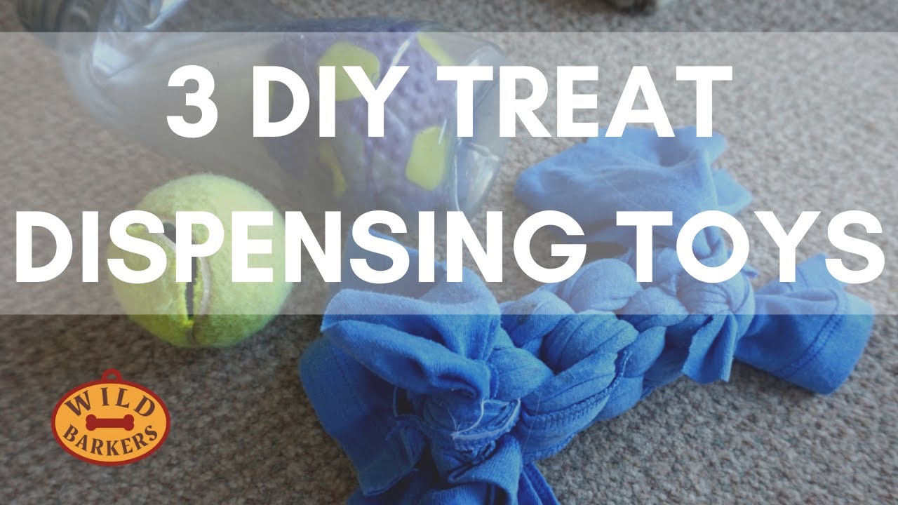 3 DIY TREAT DISPENSING DOG TOYS: HOMEMADE ENRICHMENT, EASY, CHEAP, CANINE GAME | Wild Barkers