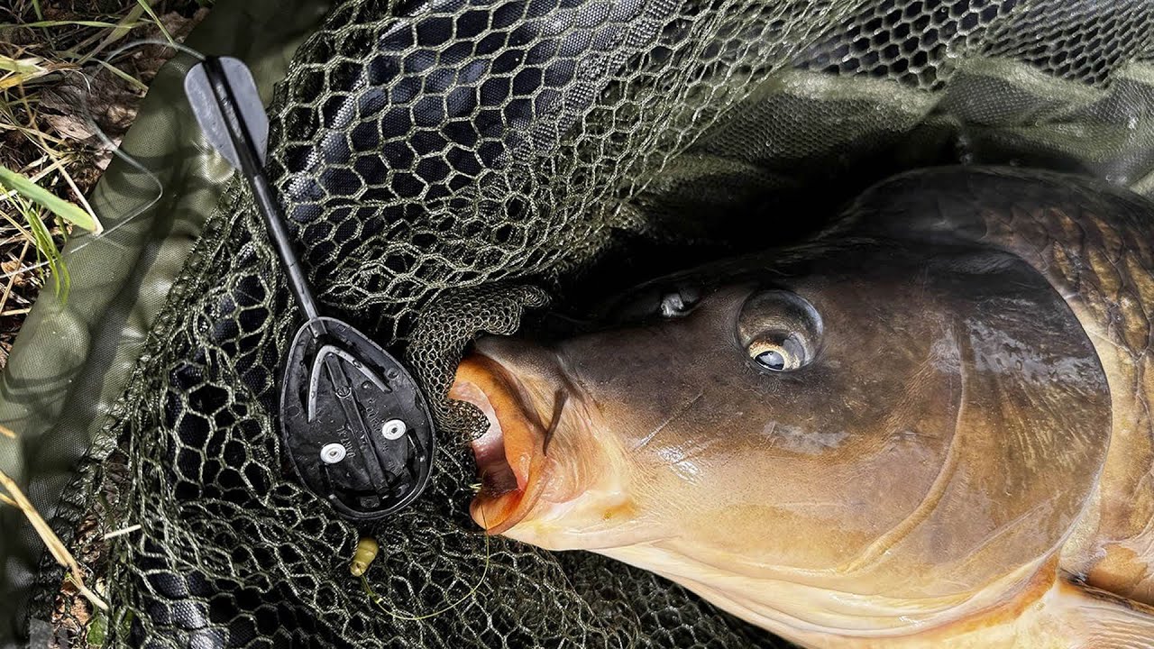 Podzimní rybaření na method feeder s Gáborem Döme v severní Evropě