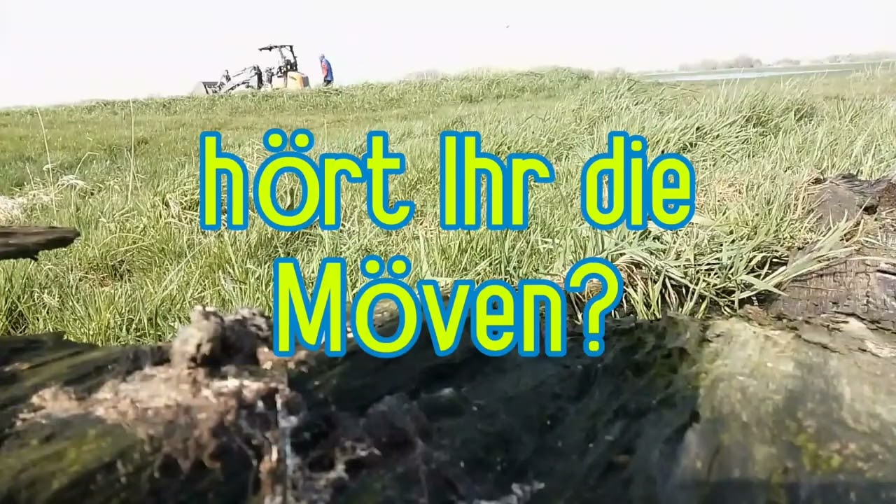 Rinne baggern f&uuml;r Regenwasser mit #eRadlader #BauerJanny