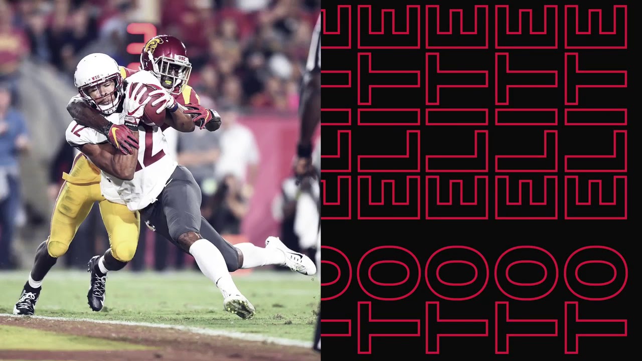 Dezmon Patmon, WR Washington State 2020 NFL Draft - Elite Athlete Management