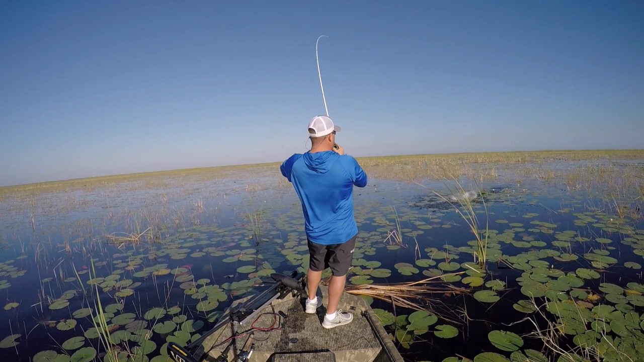 Bass Fishing Lake Okeechobee March 1 2017