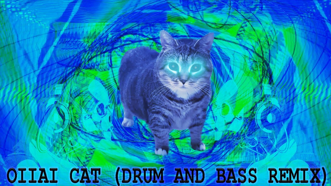 SERTEO - OIIAOIIA CAT (Drum and Bass Remix)  Visual