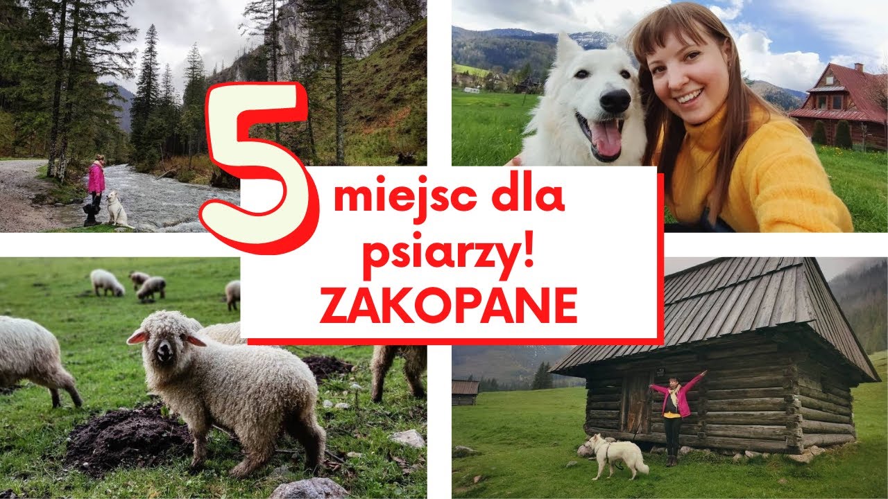 Zakopane z psem - 5 ciekawych miejsc!