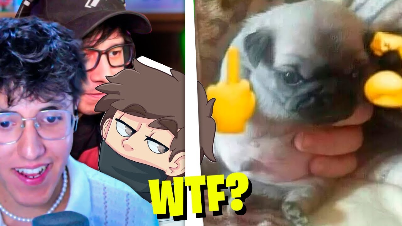Aquino, Andreh y Duxo REACCIONAN a mis LIKES de TikTok