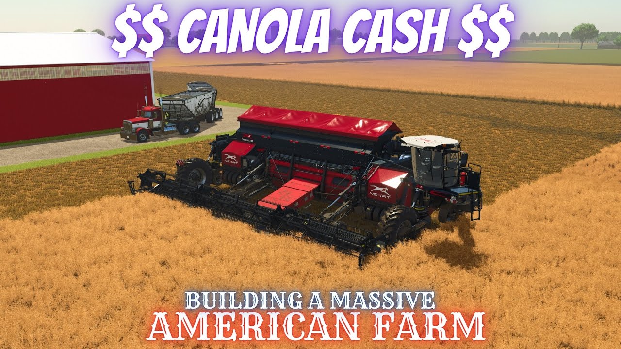 CANOLA IS A CASH CROP - Farming Simulator 25
