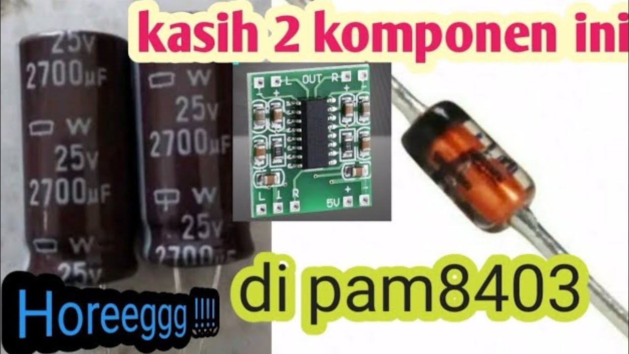 PAM8403 bass