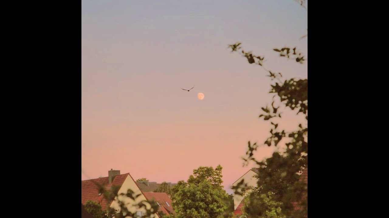 [FREE] Novo Amor x Indie Folk Acoustic Guitar Type Beat - 
