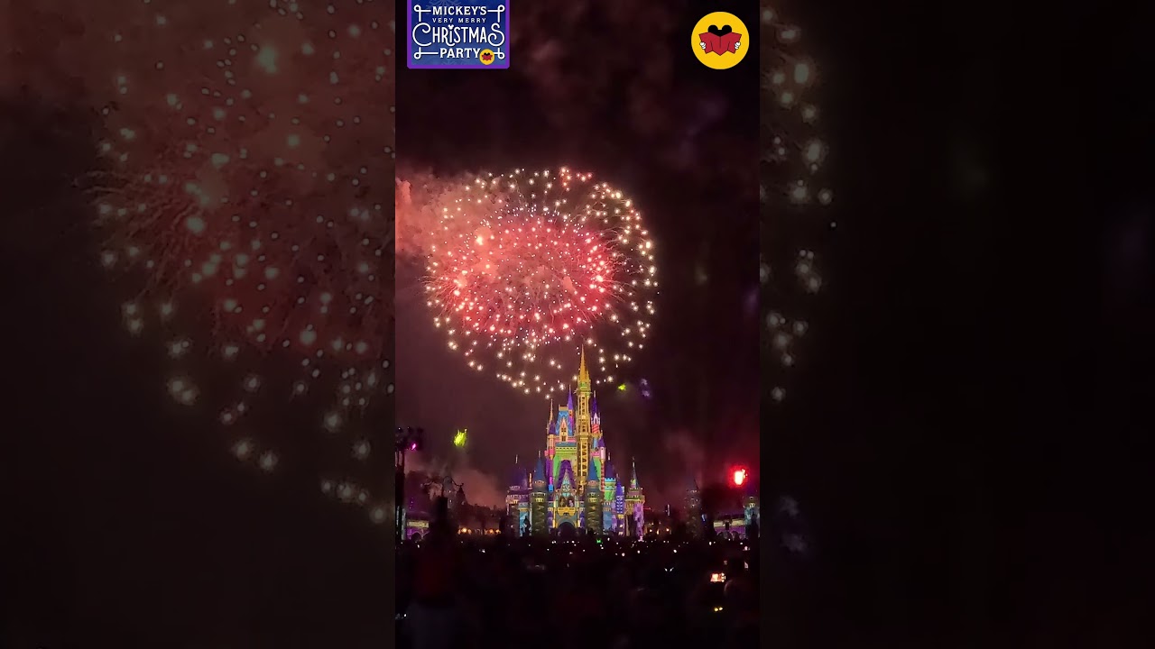 Christmas fireworks hit different at Disney #Mouseterclass
