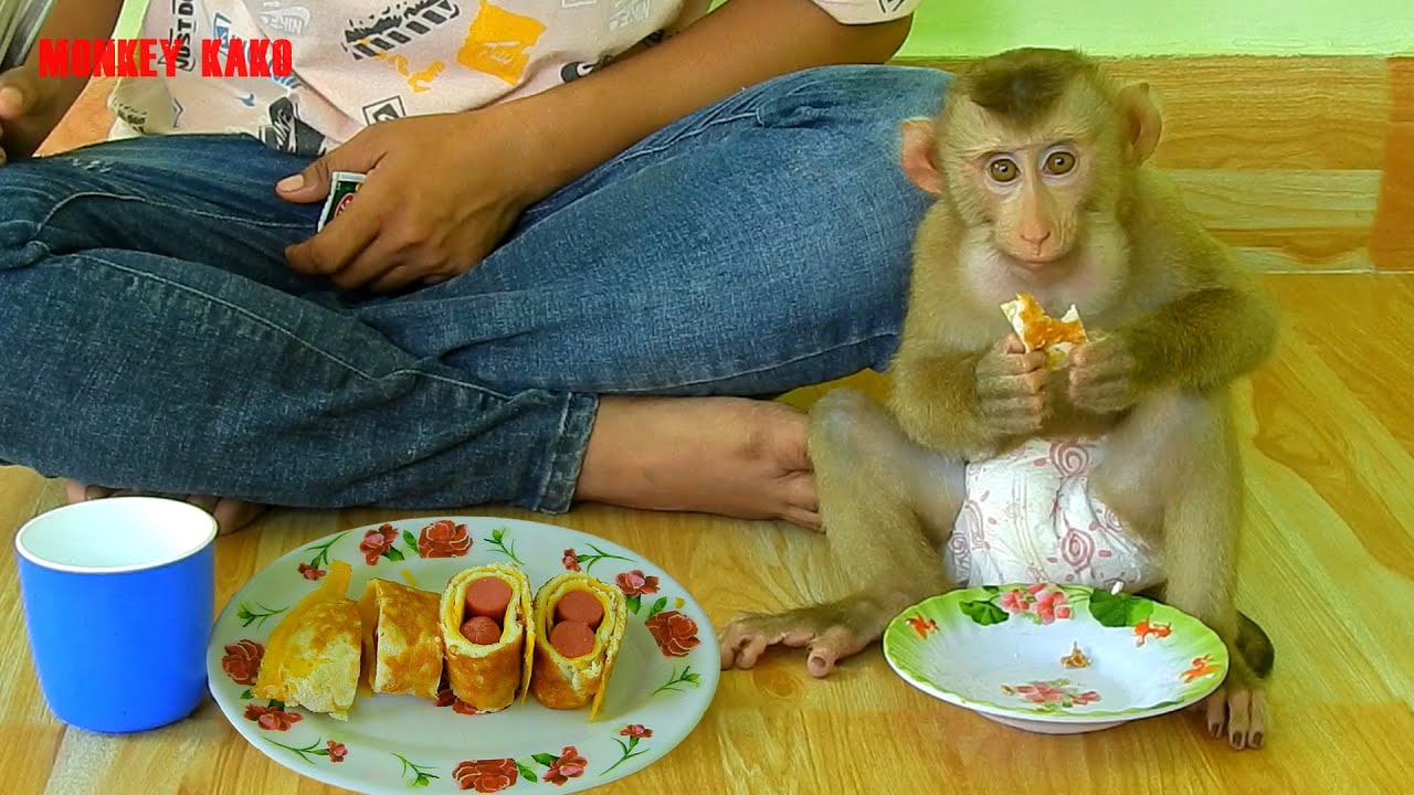 Favorite Food, Mom Cooking Fried Eggs With Sausage For Monkey Kako