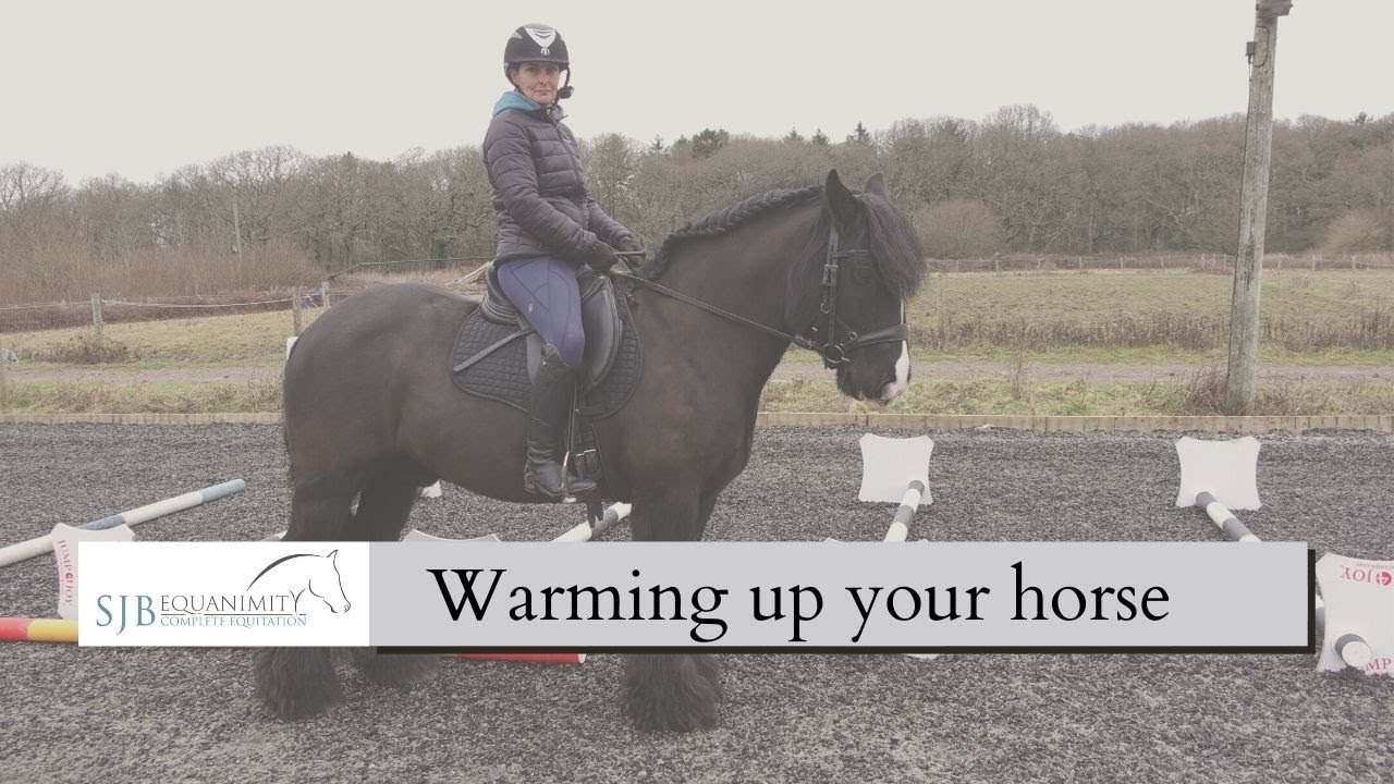 How to warm up your horse correctly | SJB Equanimity