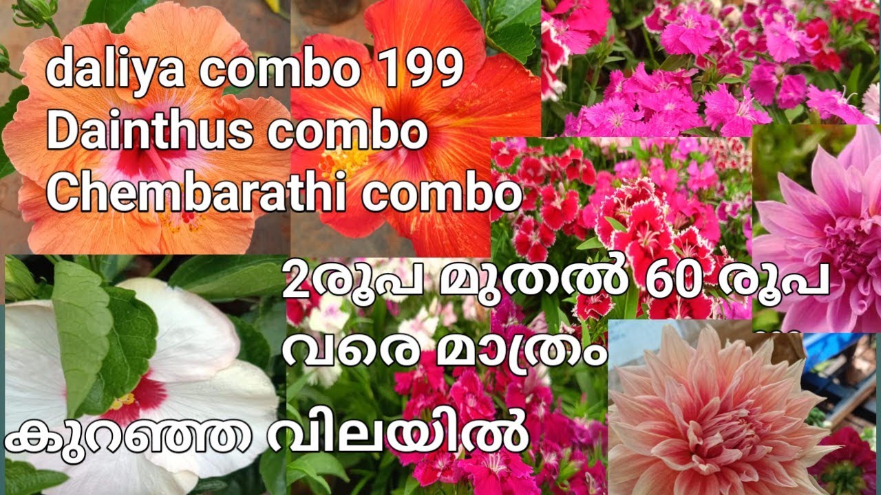 2രൂപ മുതൽ 60 രൂപ മാത്രം 