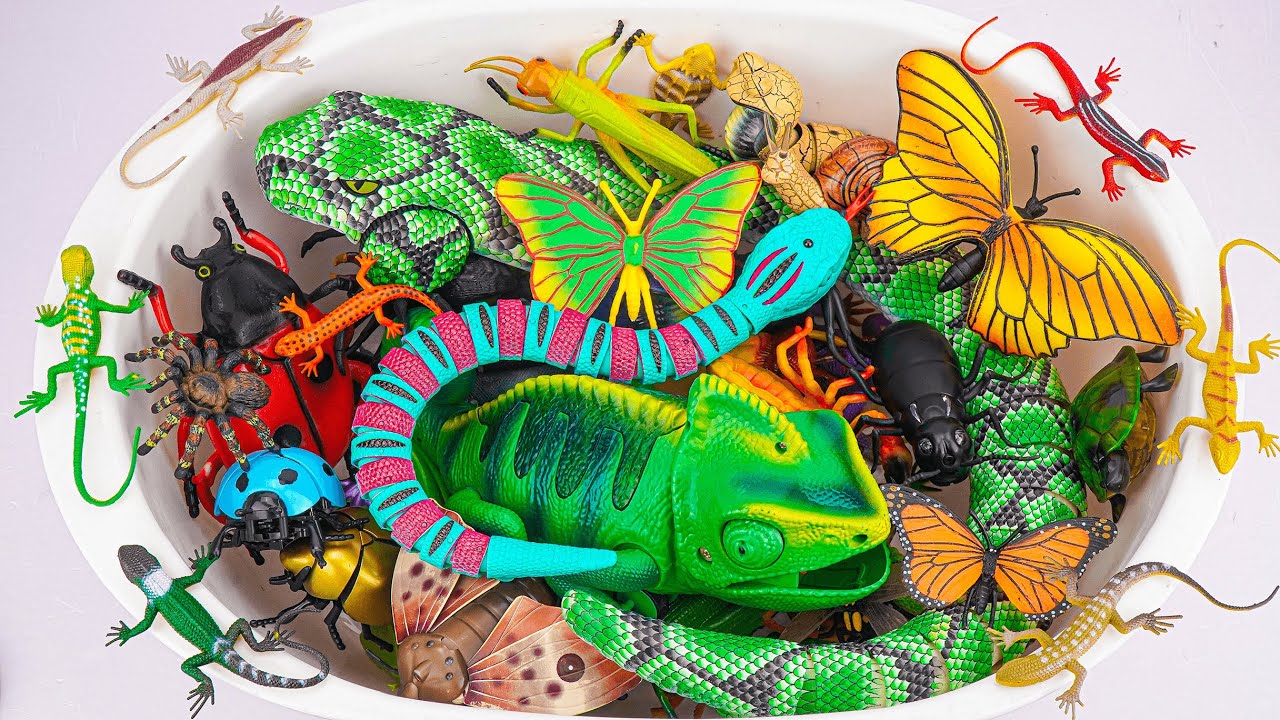 Ultimate ZURU Robo Alive Insects ASMR 🦎 Chameleon, Snake, Spider, Lizard, Worm (No Talking)
