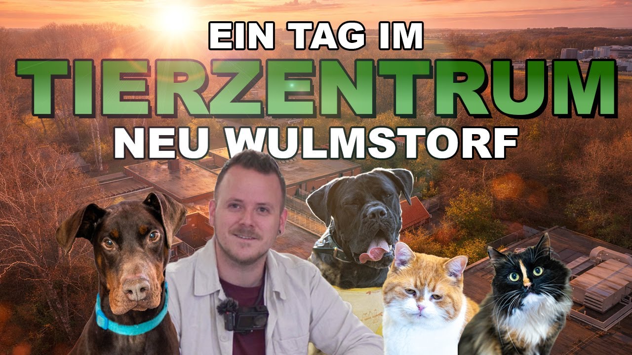 Ein Tag im Tierzentrum Neu Wulmstorf | @buxteh trifft.. | Folge 1