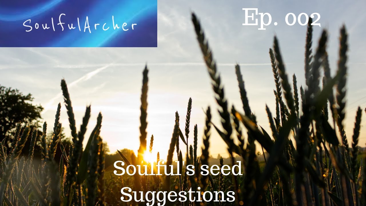 Soulful's Seed Suggestions Ep 002
