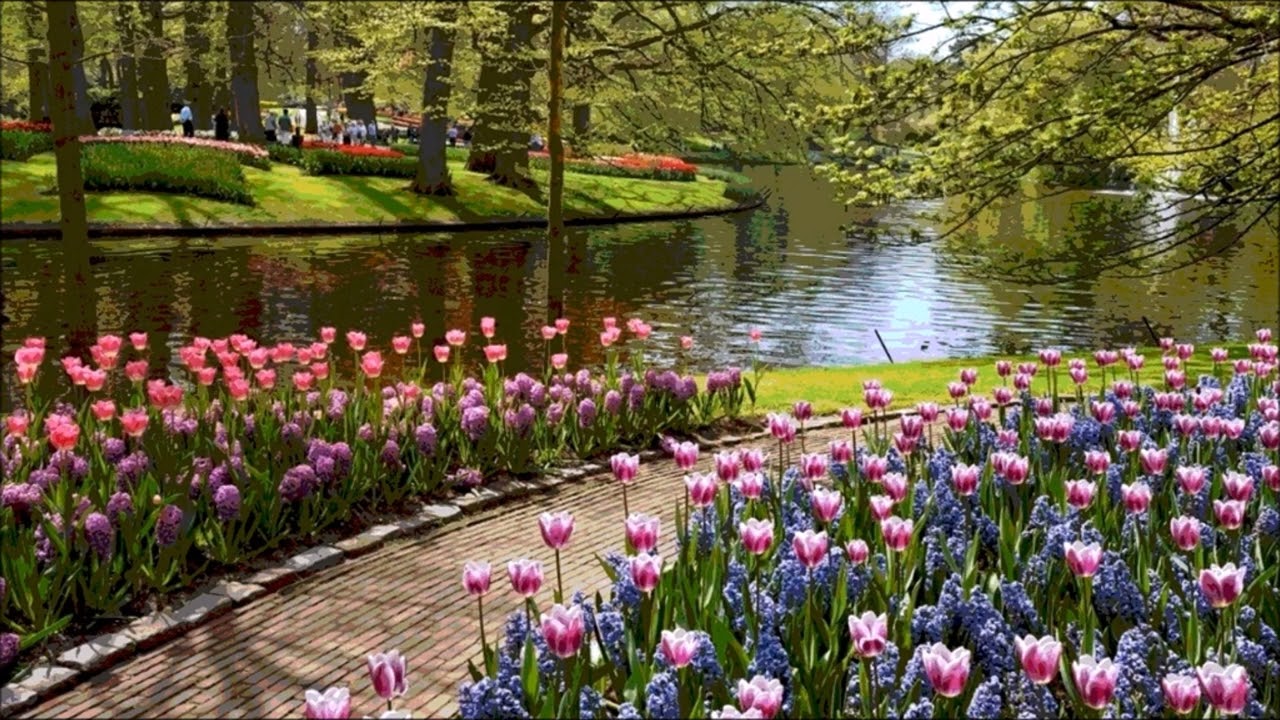 Spring daylight (Original relaxing piano solo music)