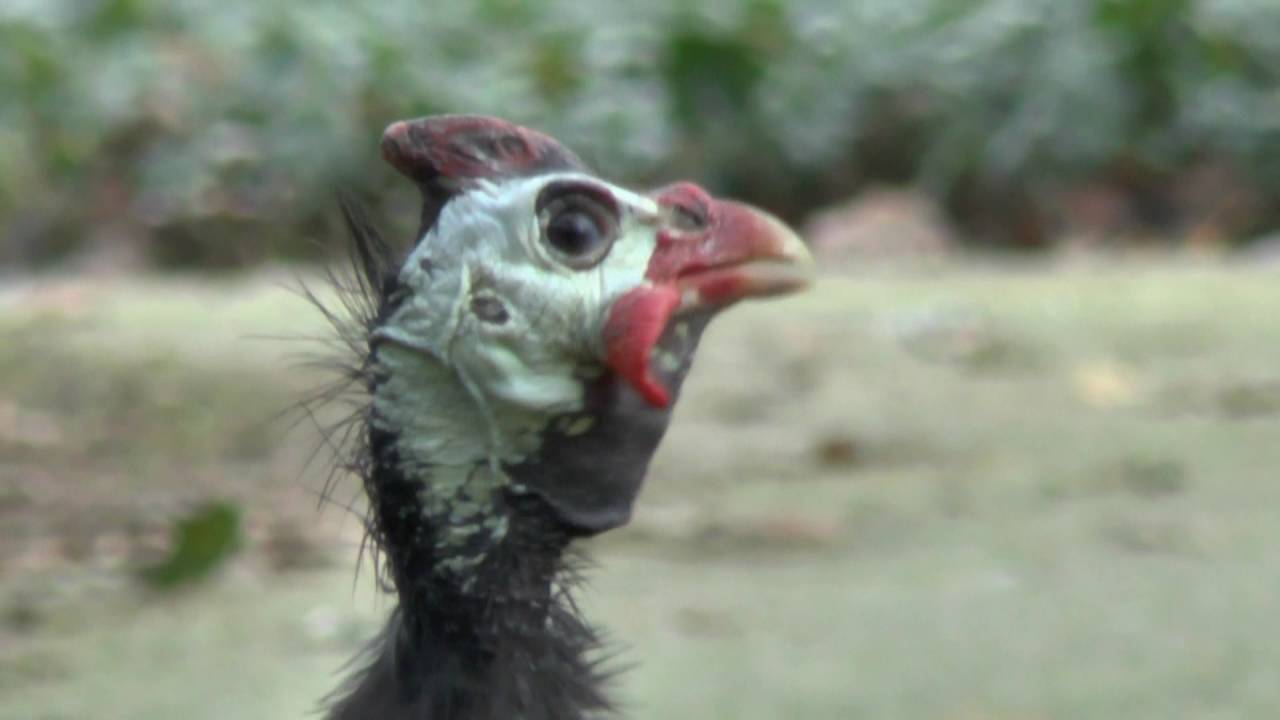 Klooster Franciscanessen,Oirschot.Impressie excursie 2015.