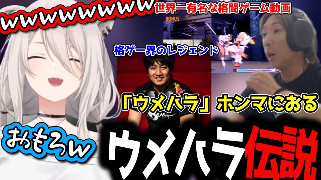 格ゲー界に伝わるウメハラ伝説についての小噺をどぐらから教えてもらう獅白ぼたん 【ホロライブ/切り抜き/CRカップ】
