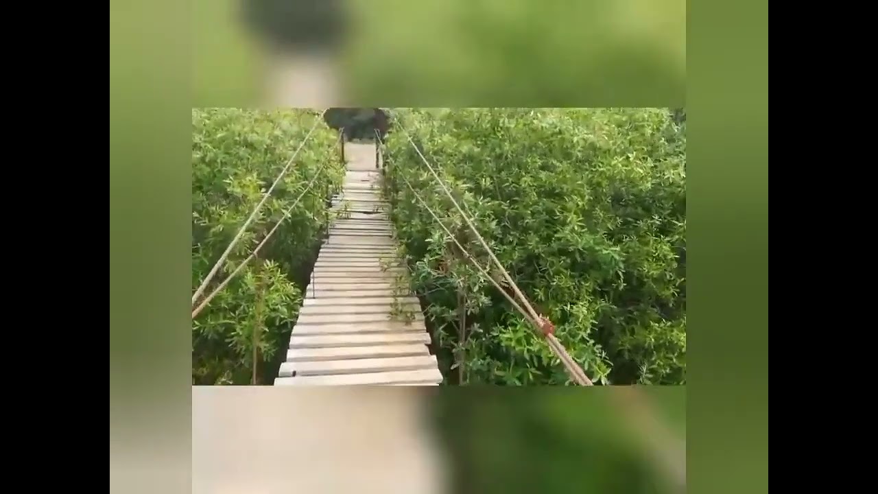 مناضر طبيعية خلابة لجبال منطقة ⛰️🏞🏝🌄 لايك و اشتراك لكي يصلكم اي جديد👍🏻🔔