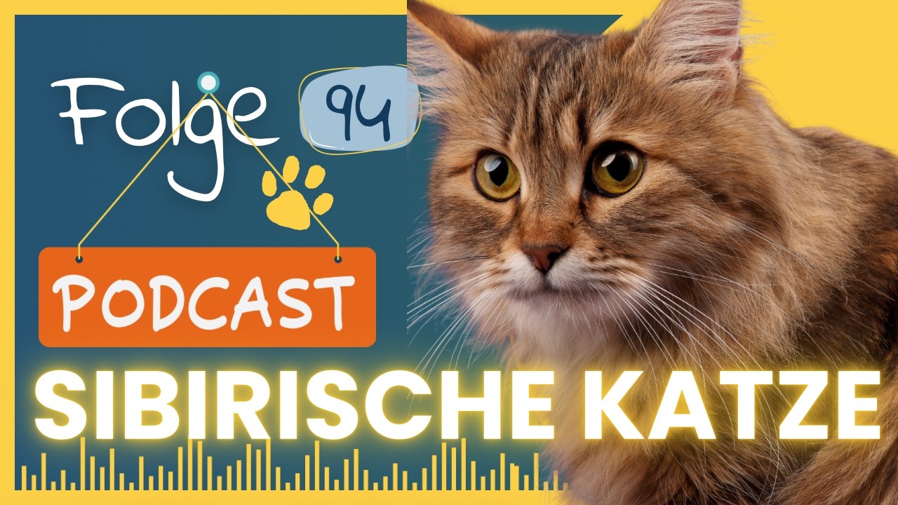Die Sibirischen Katze - Eine robuste Mieze I #94