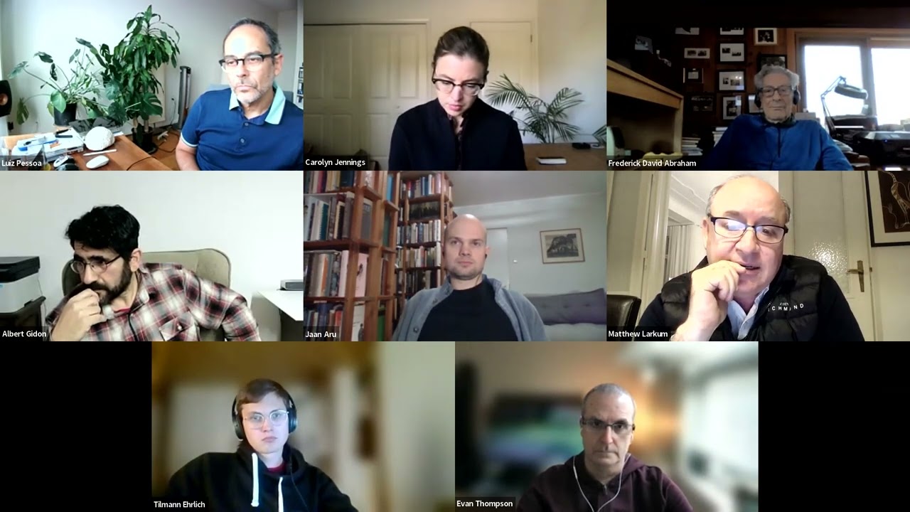 Do neural spikes cause consciousness? Discussion with Albert Gidon, Jaan Aru, Matthew Larkum.