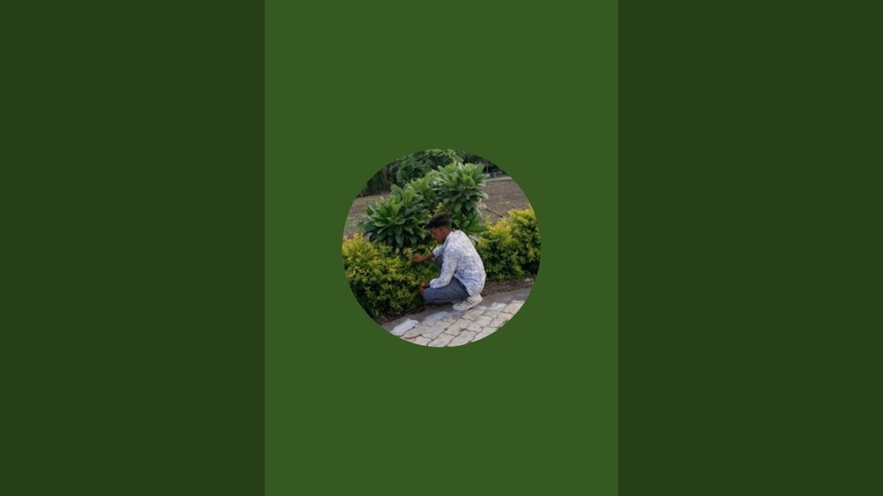 Shiyal Rutvik લાઇવ છે!