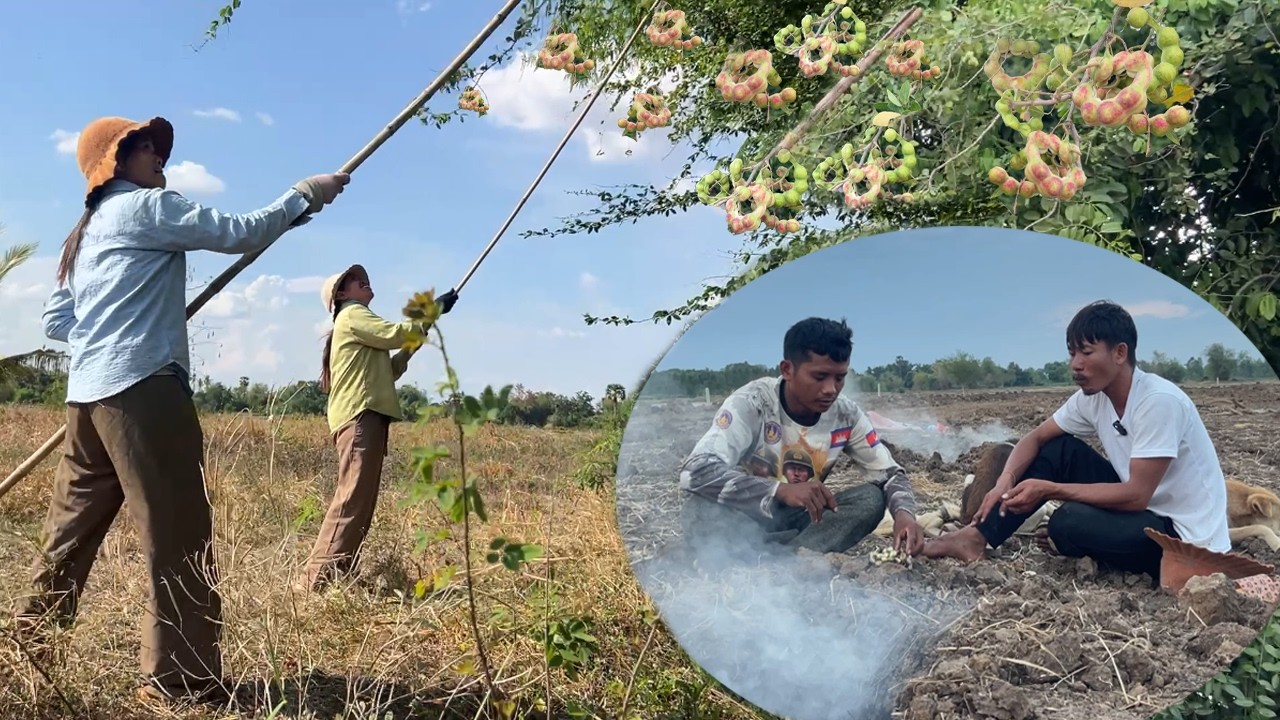 ទាល់តែ គក់ទ្រូង៧ដង ទើបកន្លងបំពង់ក ចូលដល់ក្នុងពោះ ជីវិតស្រុកស្រែ