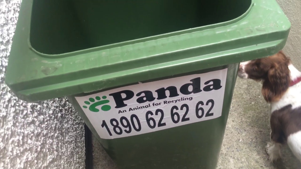 Wheelie bins part 2