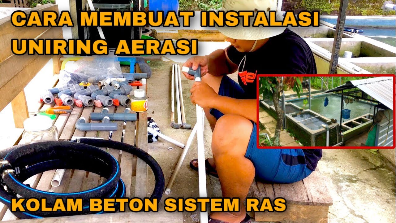 CARA MEMBUAT INSTALASI UNIRING AERASI UNTUK KOLAM BETON SISTEM RAS BUDIDAYA IKAN NILA
