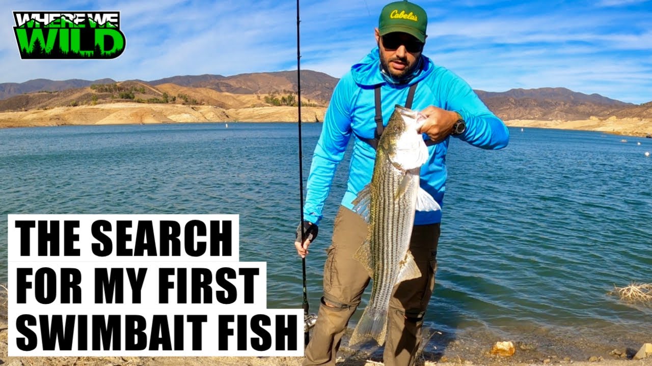 THE SEARCH FOR MY FIRST SWIMBAIT FISH - Castaic Lake Fishing