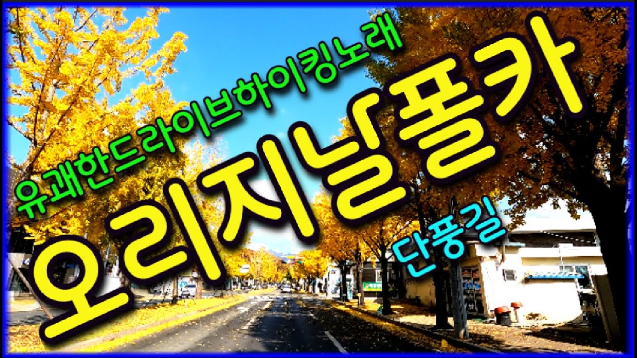 오리지날폴카 김광남❤️ 팔공산가을단풍길배경영상❤️ #경음악 #관광 #디스코 #뽕짝 #가요 #트로트 #쌍쌍가요 (526)