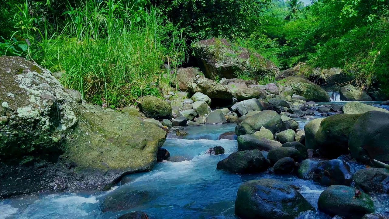Tranquil River Nightscape for Deep Calm and Sleep | sleep - relax - enjoy life - ASMR