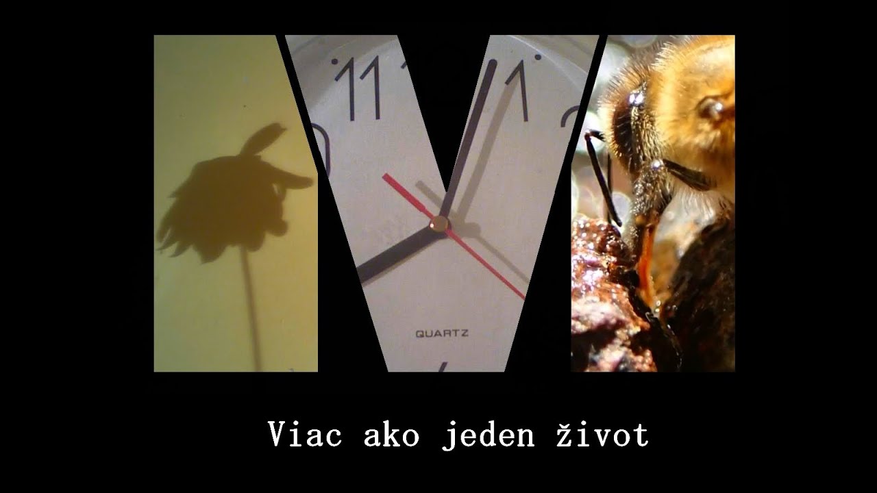 Viac ako jeden život- (alebo o ceste a gramof&oacute;ne)