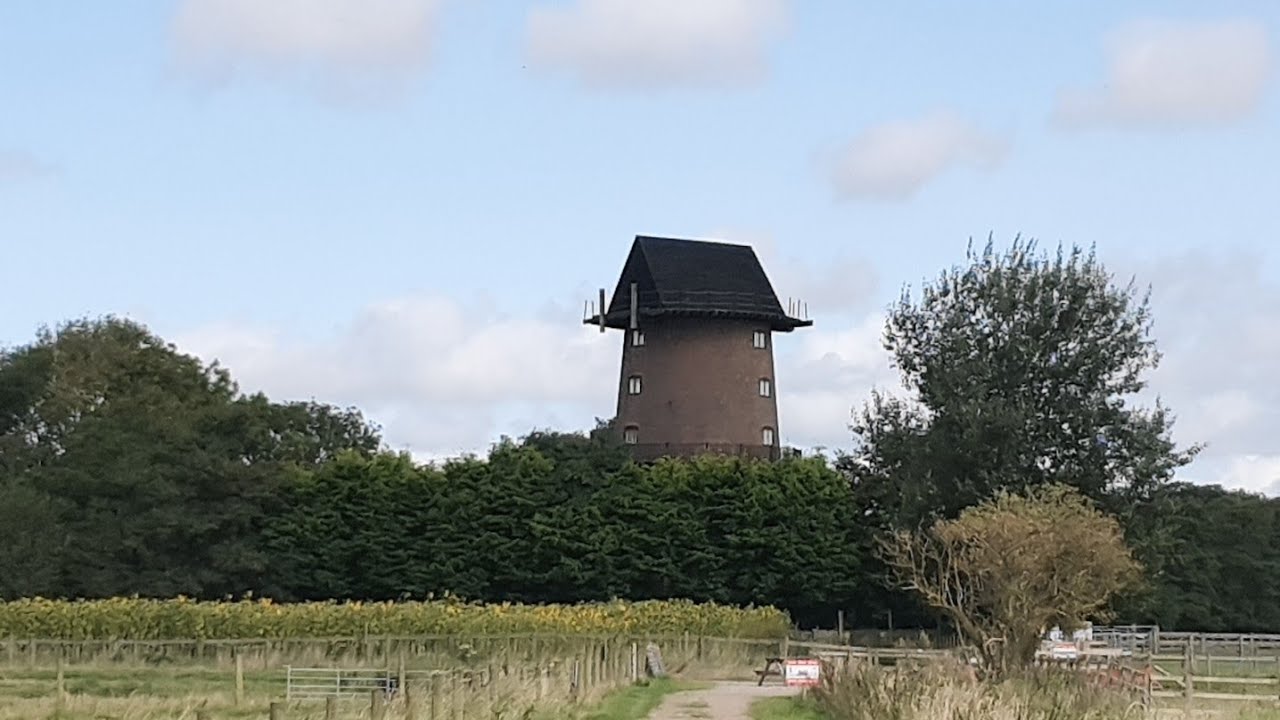 Windmill animal farm