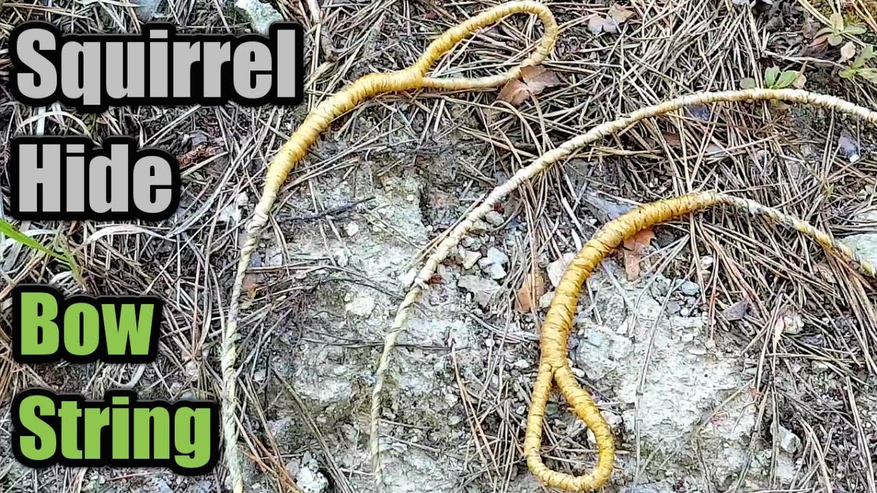 Making a Squirrel Raw Hide Bow String ~ Primitive ~ Survival