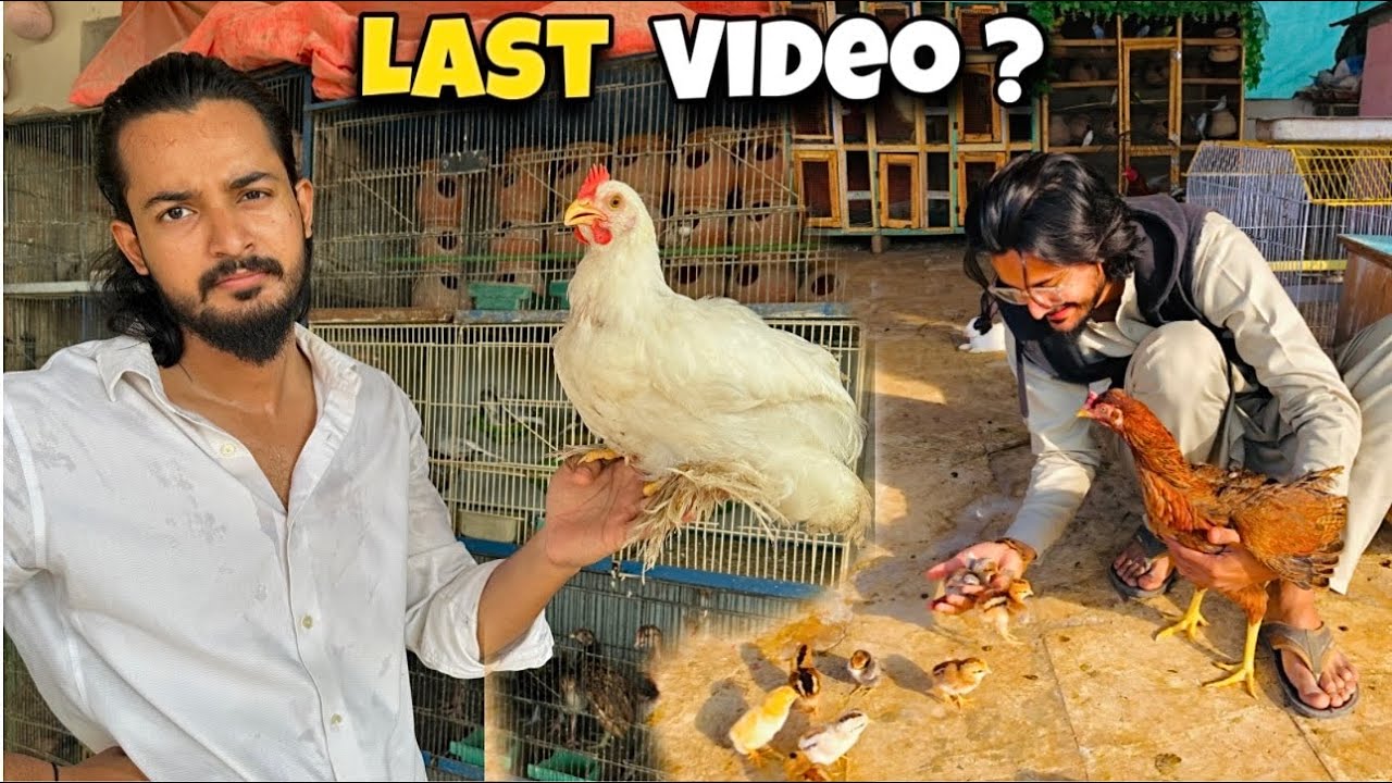 Last Video On YouTube?💔 Hulk And Choozlee
