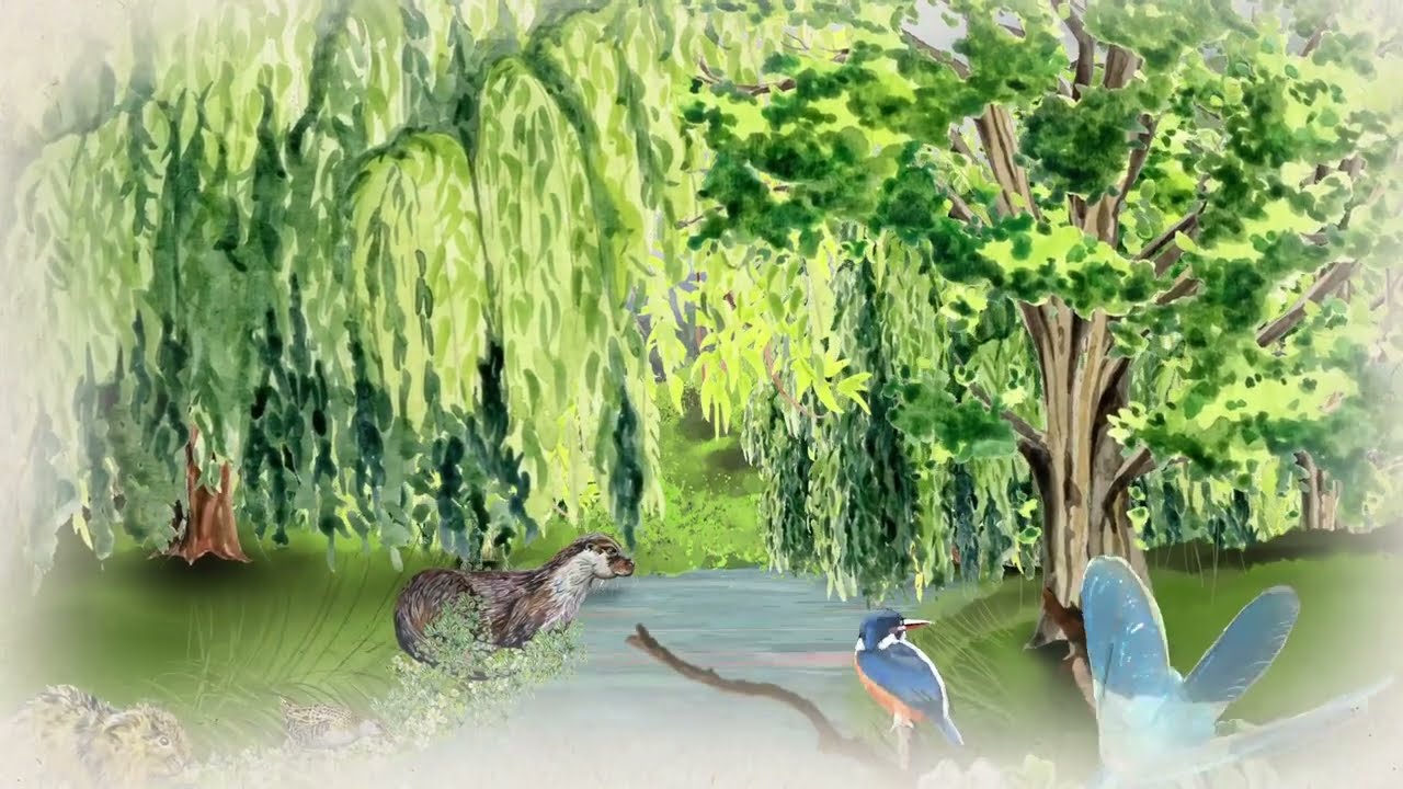 How do chalk streams work?