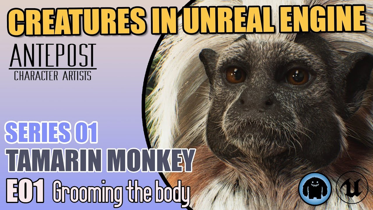 CREATURES IN UNREAL ENGINE - S01 Tamarin Monkey - E01 Grooming the body in Yeti
