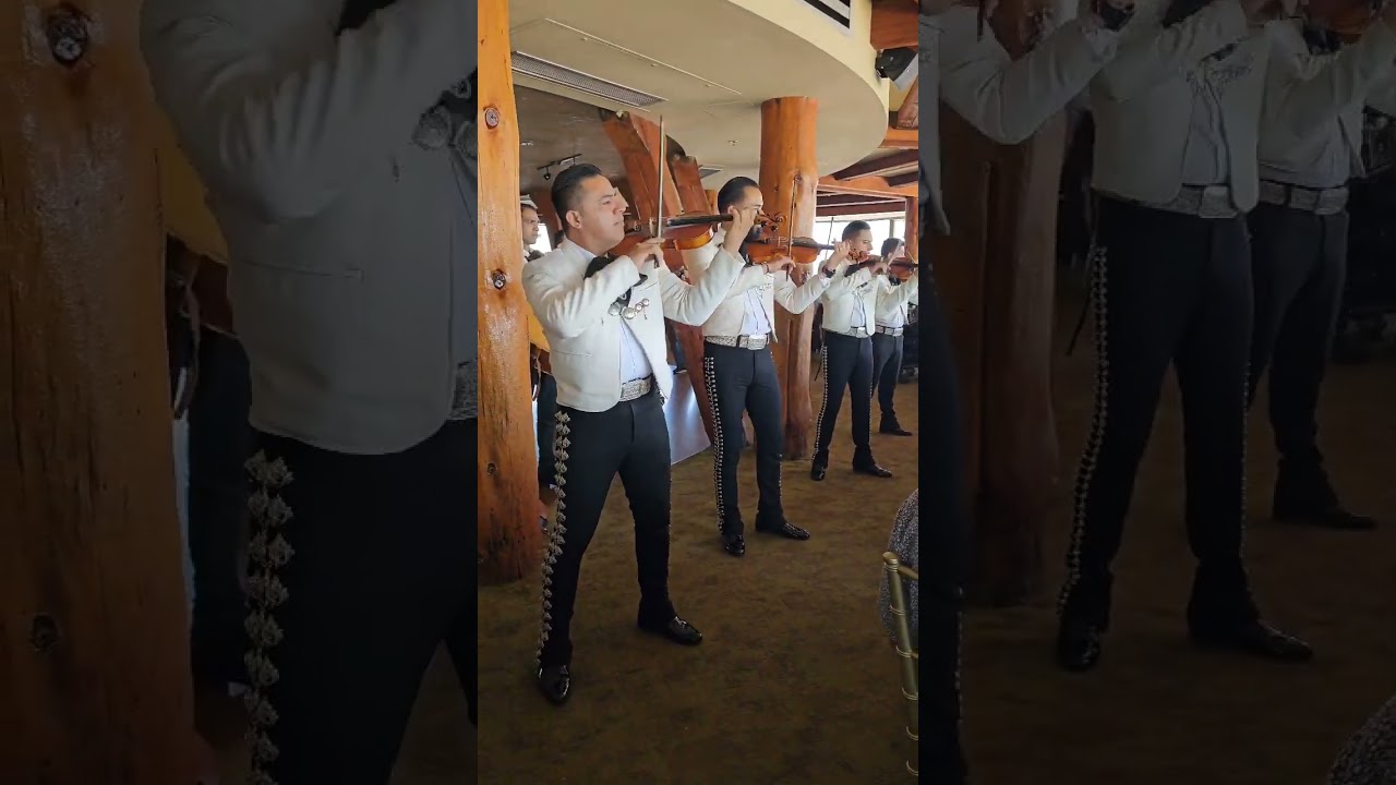 Son de la negra - Mariachi Sonidos de Mexico (San Diego)
