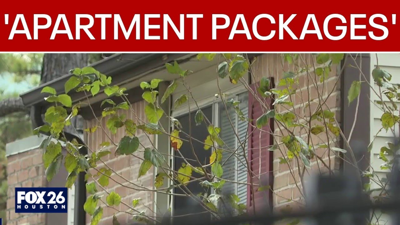 Landlords hit by rental fraud: Inside the rise of 