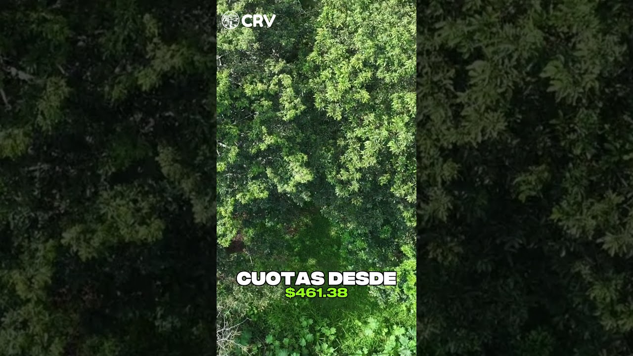 PARCELAS AGRICOLAS LAS MARIAS A LA VENTA EN LOS NARANJOS