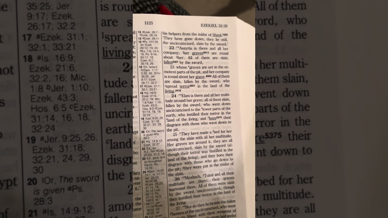 Day 249 Chronological Bible Reading Ezekiel 31-33