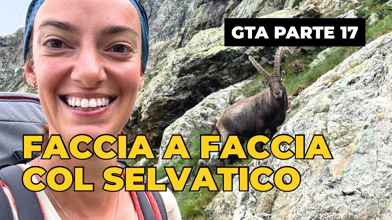 In CAMMINO con gli ANIMALI SELVATICI delle ALPI MARITTIME | #gta parte 17