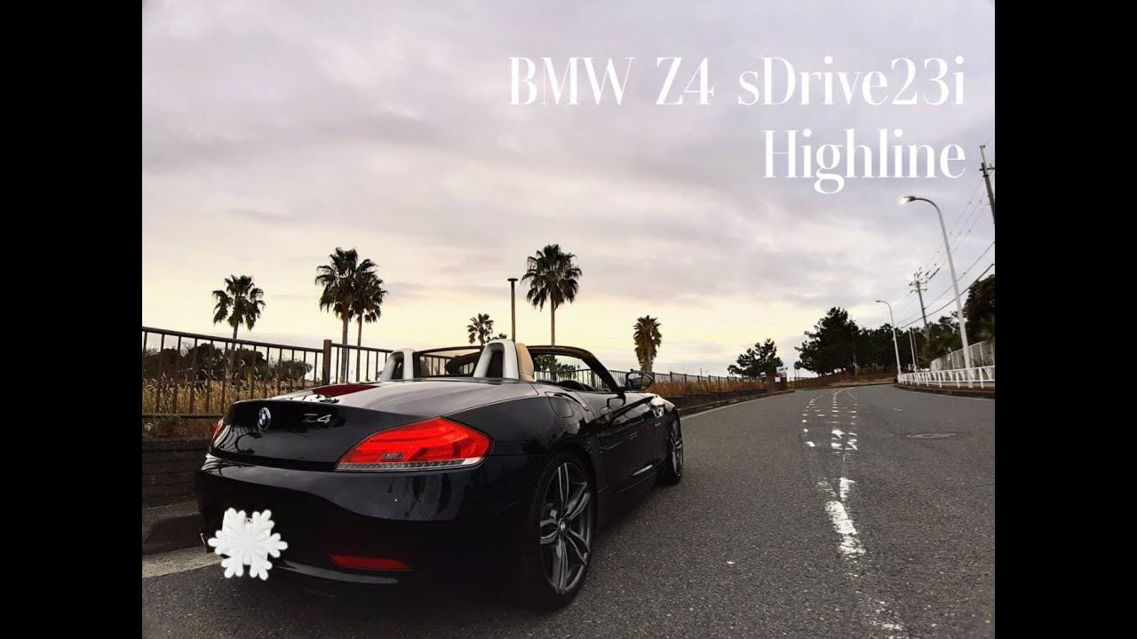 E89 Z4