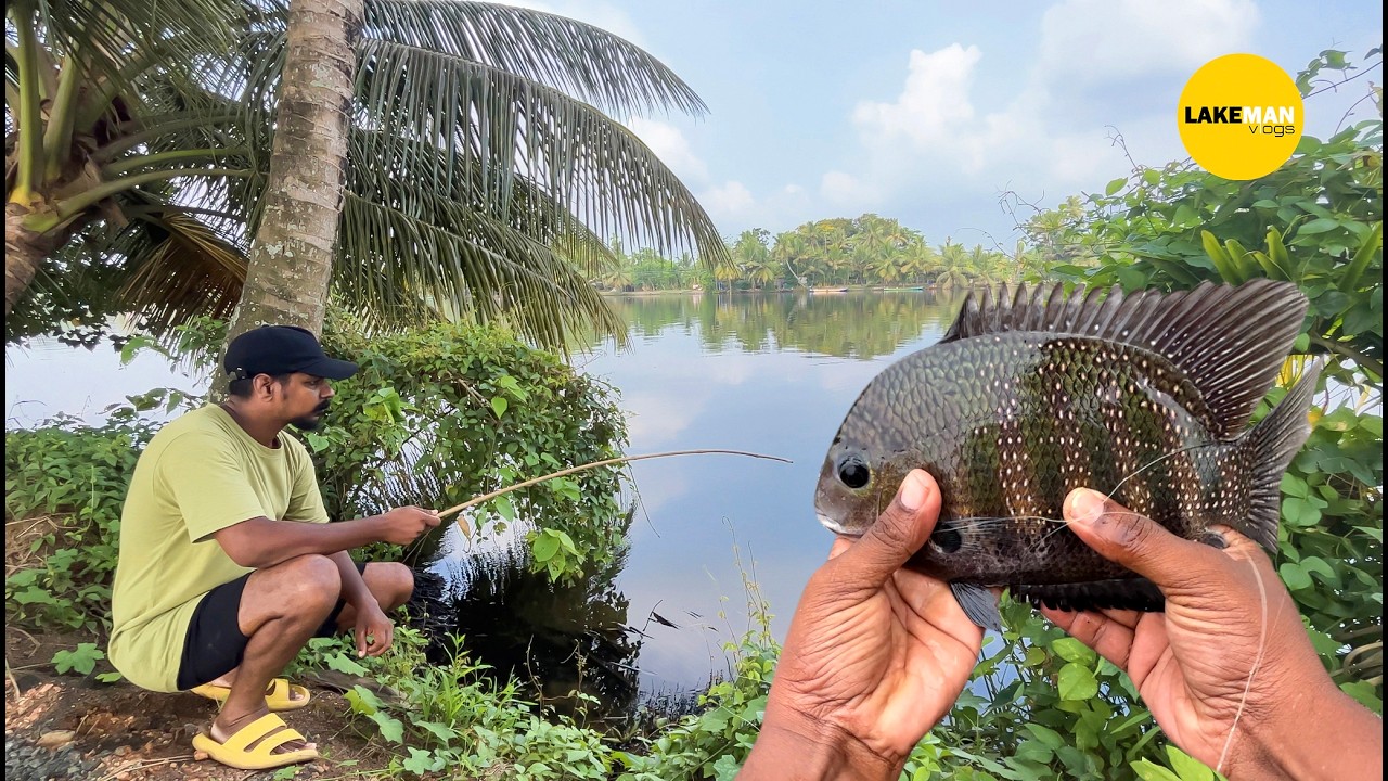 ഈ തീറ്റ മതി ഇവനെ പിടിക്കാൻ  I  Fishing I Kuttanadu Village Fishing 
