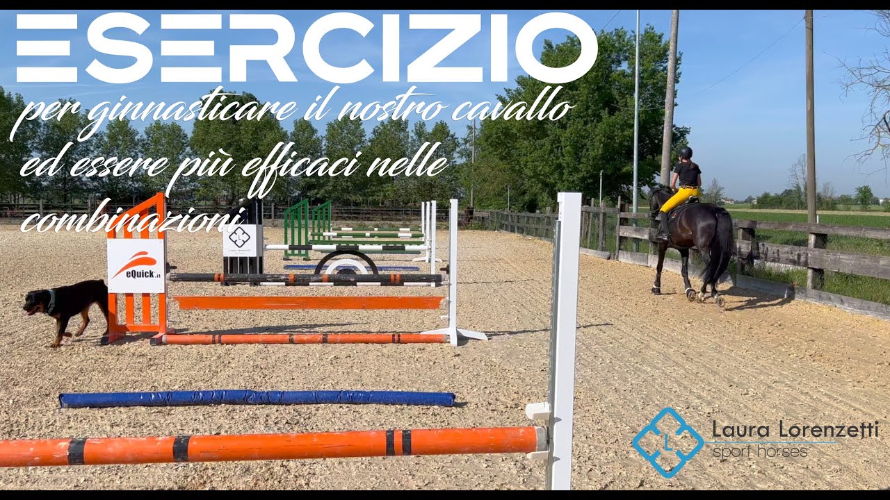Esercizio per ginnasticare il cavallo ed essere più efficaci - Equitazione con laurettarider
