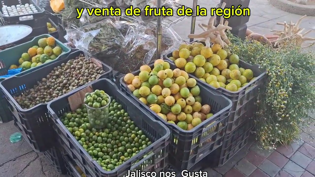 Talpa de Allende Jalisco