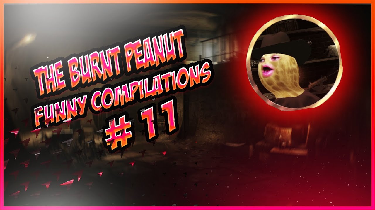 TheBurntPeanut Funny Compilations # 11