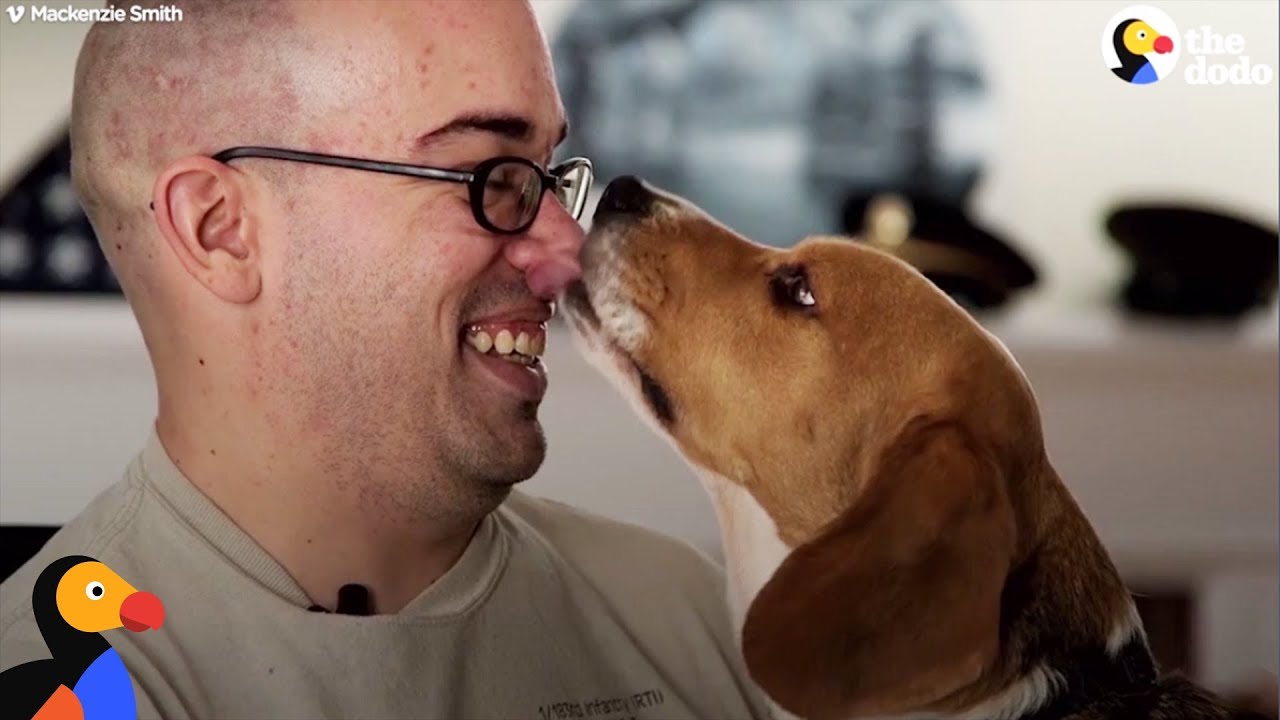 Dog Saves Veteran's Life | The Dodo