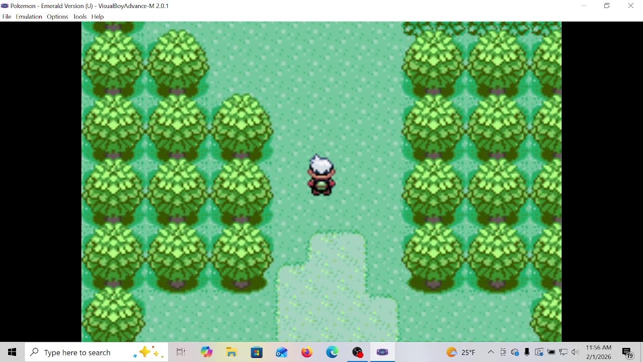 Pokemon Emerald Part 1